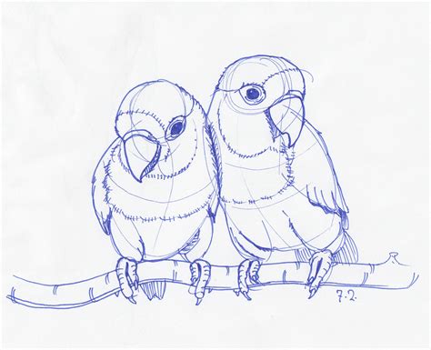 Pencil Drawing Pictures Of Birds at GetDrawings | Free download