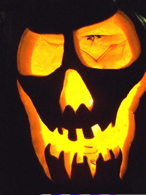 Scary Pumpkin | Halloween | solyanka | Flickr