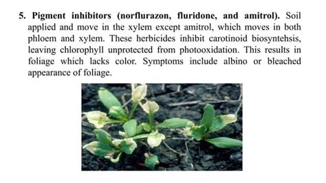 Herbicides classification,their development history and mode of action ...