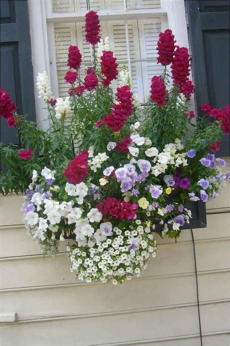 42 Fresh and Easy Summer Container Garden Flowers Ideas | Window box ...