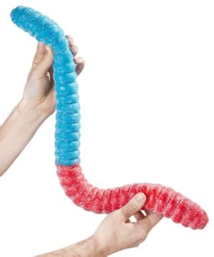 World's Largest Sour Gummy Worm: Three pounds of delicious sour-sweet ...