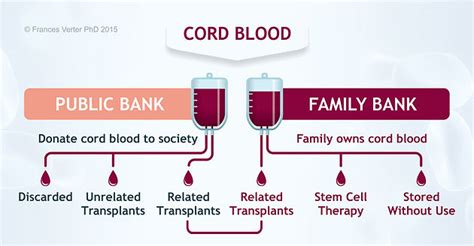 Cord Blood Donation; Giving Birth to Help | Home Court Health