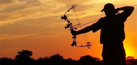 How to Hunt Deer with a Bow Effectively - The Prepper Journal