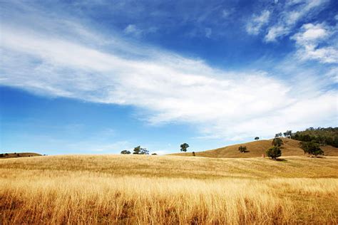 22,700+ Australian Farm Landscape Stock Photos, Pictures & Royalty-Free Images - iStock