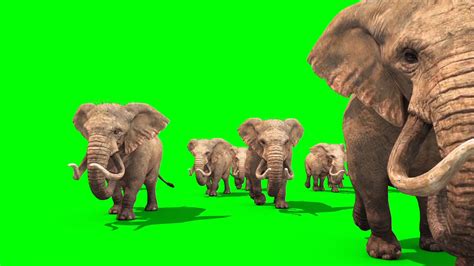 Herd of Elephants - PixelBoom