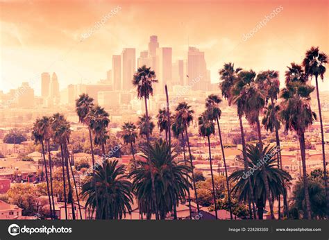 Beautiful Sunset Palm Trees Los Angeles California Stock Photo by ...