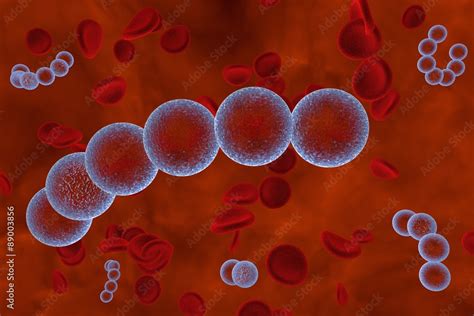 Streptococci. Spherical bacteria on the surface of skin or mucous membrane, model of ...