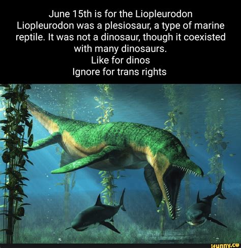 Liopleurodon memes. Best Collection of funny Liopleurodon pictures on ...