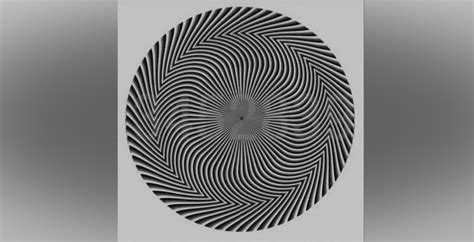 Which numbers do you see? Another viral optical illusion puzzles internet | Curated