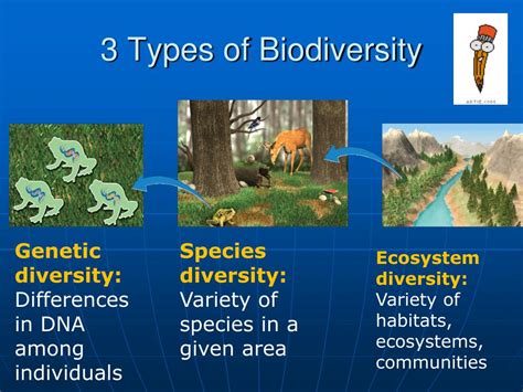 Diagram Of The Three Types Of Biodiversity