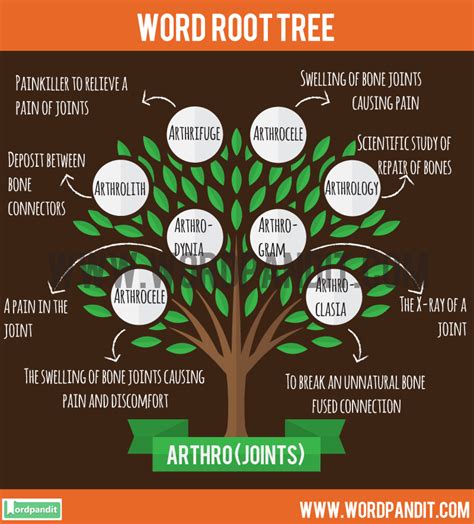 Get Words from Arthro Root Word and their meaning