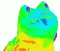 Frog Meme GIF - Frog Meme Mlg - Discover & Share GIFs