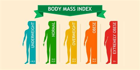 Body Mass Index: What Is BMI & How To Calculate It? - Fitterfly