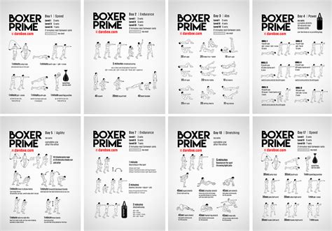 Boxing Workout Program Pdf | EOUA Blog