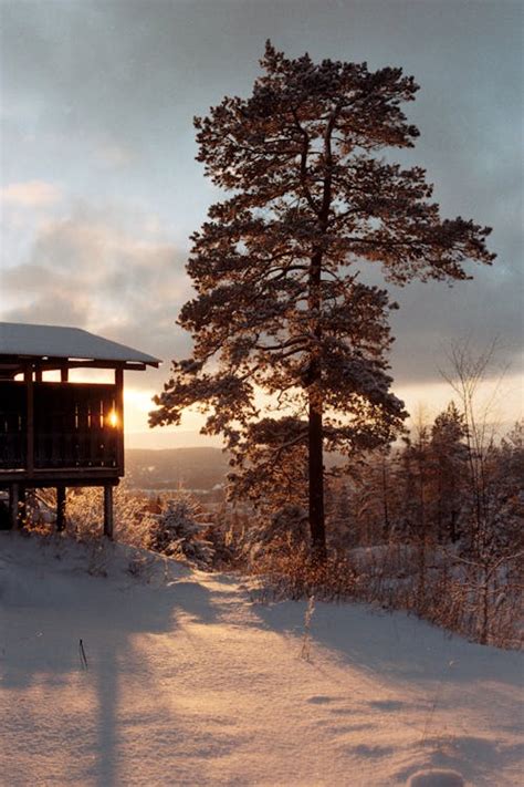 Free stock photo of cabin, snow, sunset