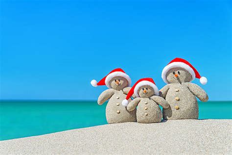 Australian Beaches Christmas