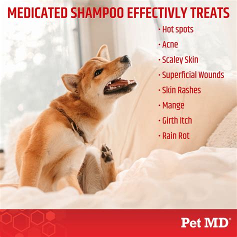 Antiseptic & Antifungal Medicated Shampoo for Dogs, Cats, & Horses - 8 ...