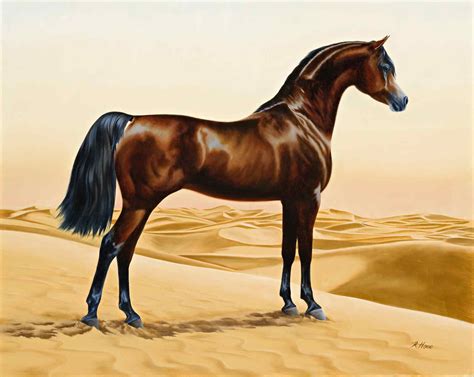 File:Arab horse painting animals arabian ainting by William Barraud ...