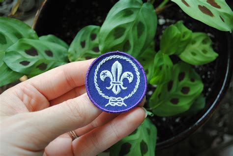 Vintage World Scout Emblem Patch Boy Scouts Purple Round - Etsy