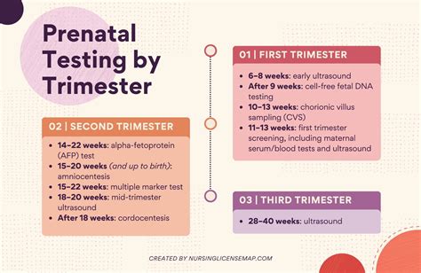 Guide to Prenatal Genetic Testing and Screening