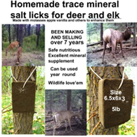 Homemade molasses and corn grain blocks and trace mineral salt licks for deer and oth ...