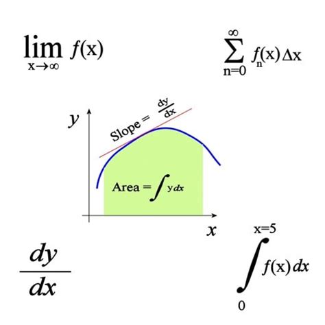 Calculus for beginners - plorarewards