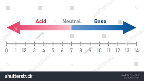 Ph Scale Diagram Acid Neutral Base Stock Vector (Royalty Free ...