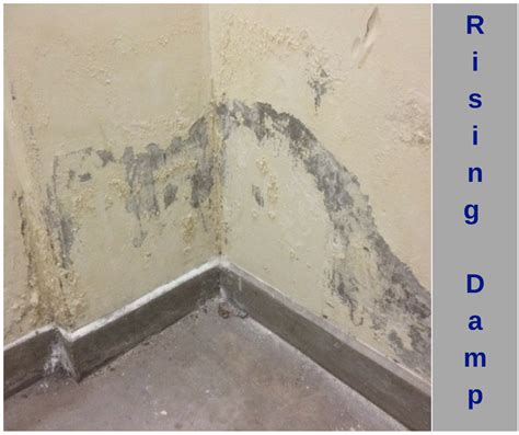 Effective solution for rising damp in sydney – Artofit