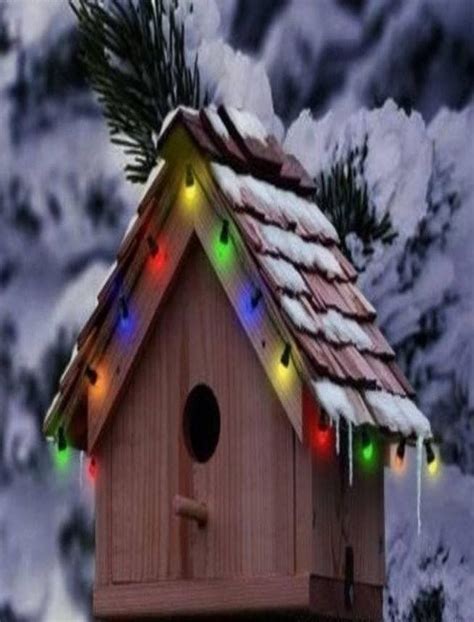 Pin by Vickie DeMallie on I ️ Christmas! | Bird house, Bird houses, Bird house ideas