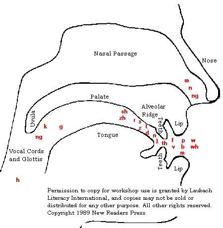 What Is Phonetic Transcription Of Map - Randall Arsenault Coiffure