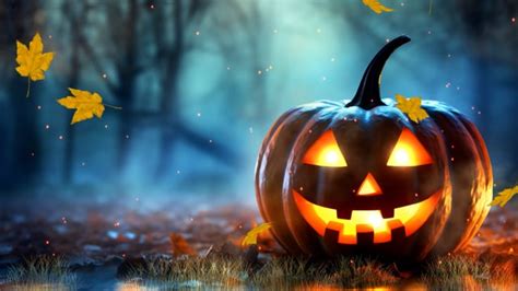 Pumpkin, Leaves, Halloween. Free Stock Video - Pixabay