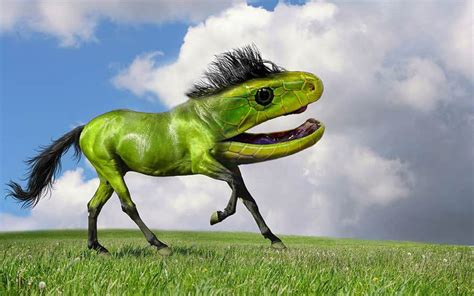 Photoshopped hybrids animals