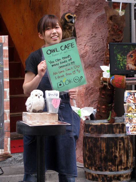 Owl Cafe | Photo