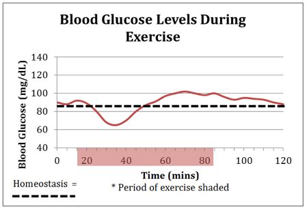 Can Exercise Affect Blood Sugar Levels - Exercise Poster