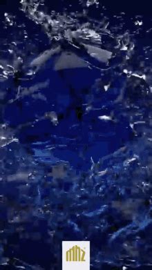 Waterslotje Bubble GIF - Waterslotje Bubble Equipment - Discover & Share GIFs