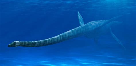 Elasmosaurus | Elasmosaurus Facts | DK Find Out | Prehistoric