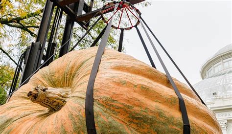 The World's Largest Pumpkins Are Making Their Way Back To The New York Botanical Garden - Secret NYC