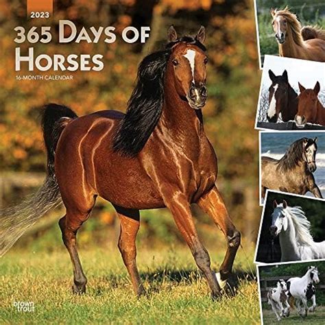 Calendar 2023 Horse – Get Calendar 2023 Update