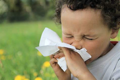 child blowing nose stock photo - Wake Forest Pediatrics