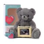 Grey Love Bear - Miracle Beginnings