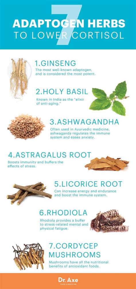 7 Adaptogenic Herbs or Adaptogens that Help Reduce Stress - Dr. Axe ...