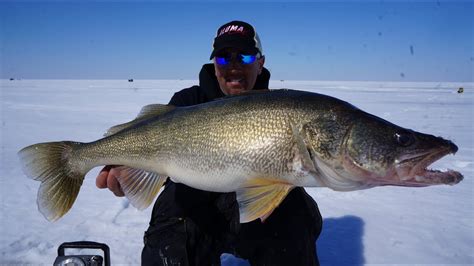 Walleye Ice Fishing