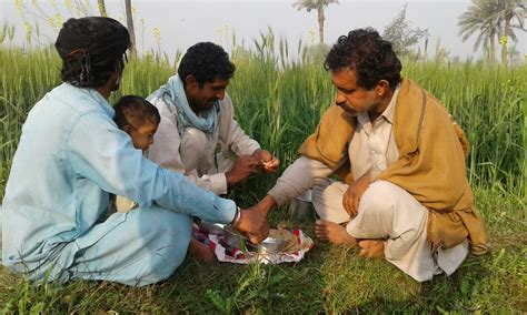 VILLAGE LIFE IN PUNJAB, PAKISTAN 2017 - Karamat Adeel