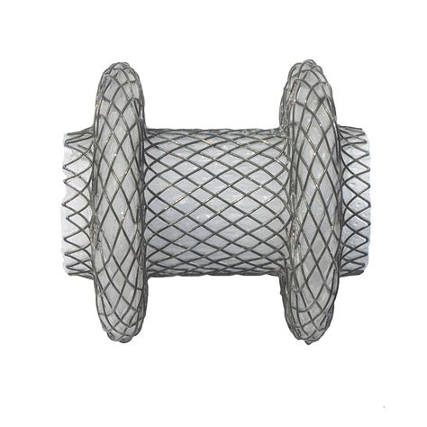 Boston Scientific Launches AXIOS Stent and Delivery System | Knobbe ...