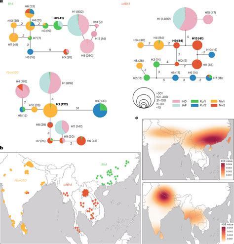 Inference of origins of domestication alleles based on haplotype ...