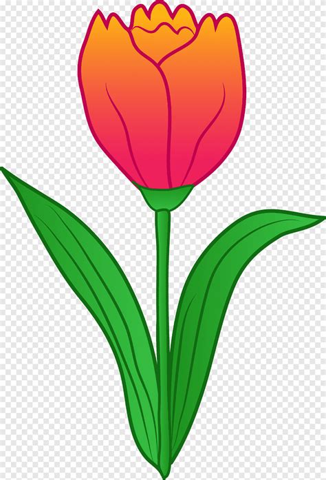 Clipart Bunga Tulip