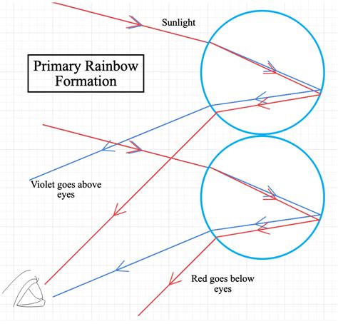 Explain how the formation of the rainbow occurs.