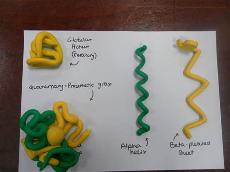 3d protein molecule structure