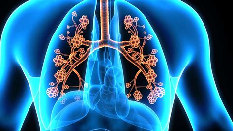 Pulmonary Physiology Course - UCLA Extension