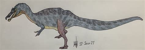 Ichthyovenator Skeleton